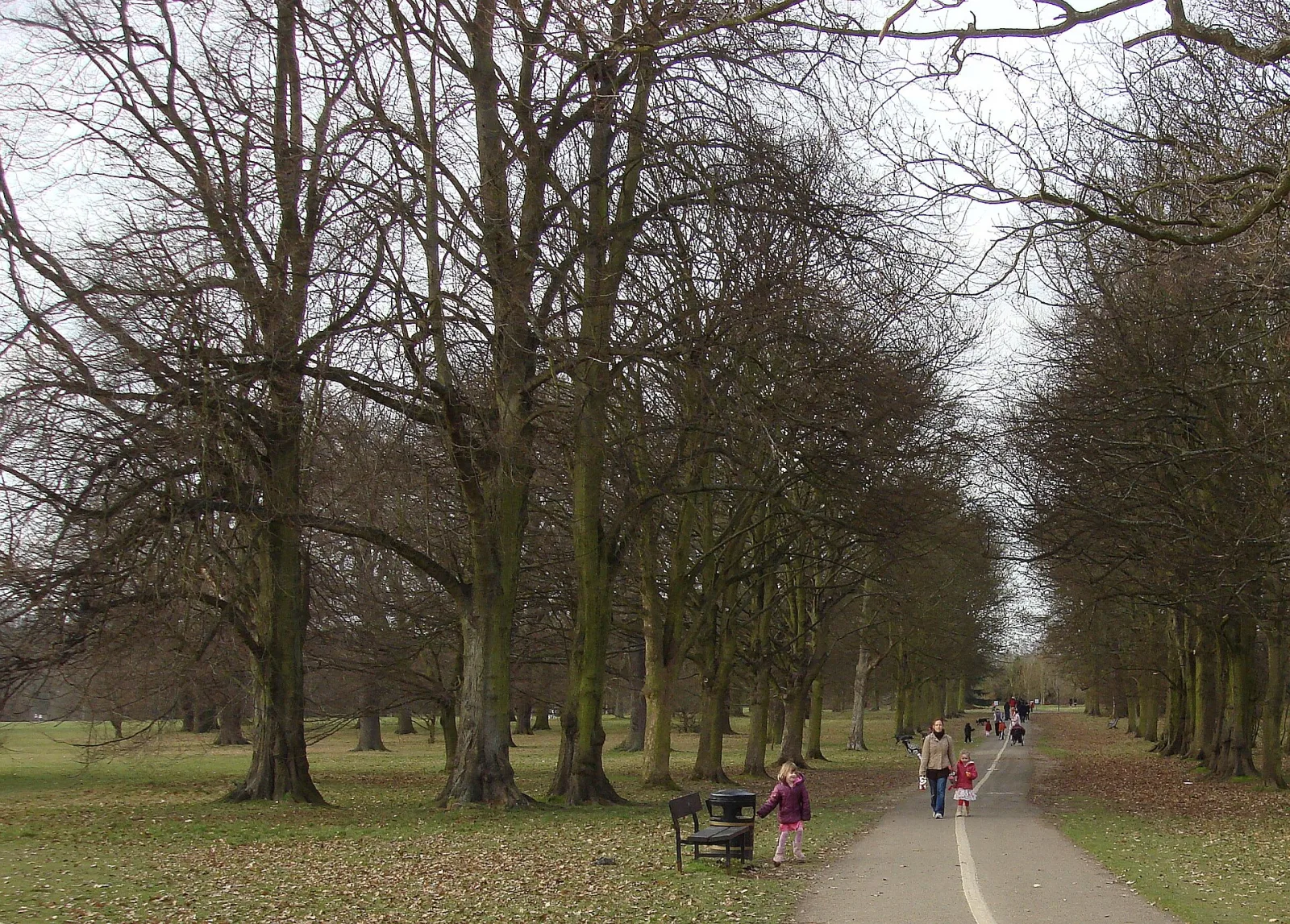 Cassiobury Park