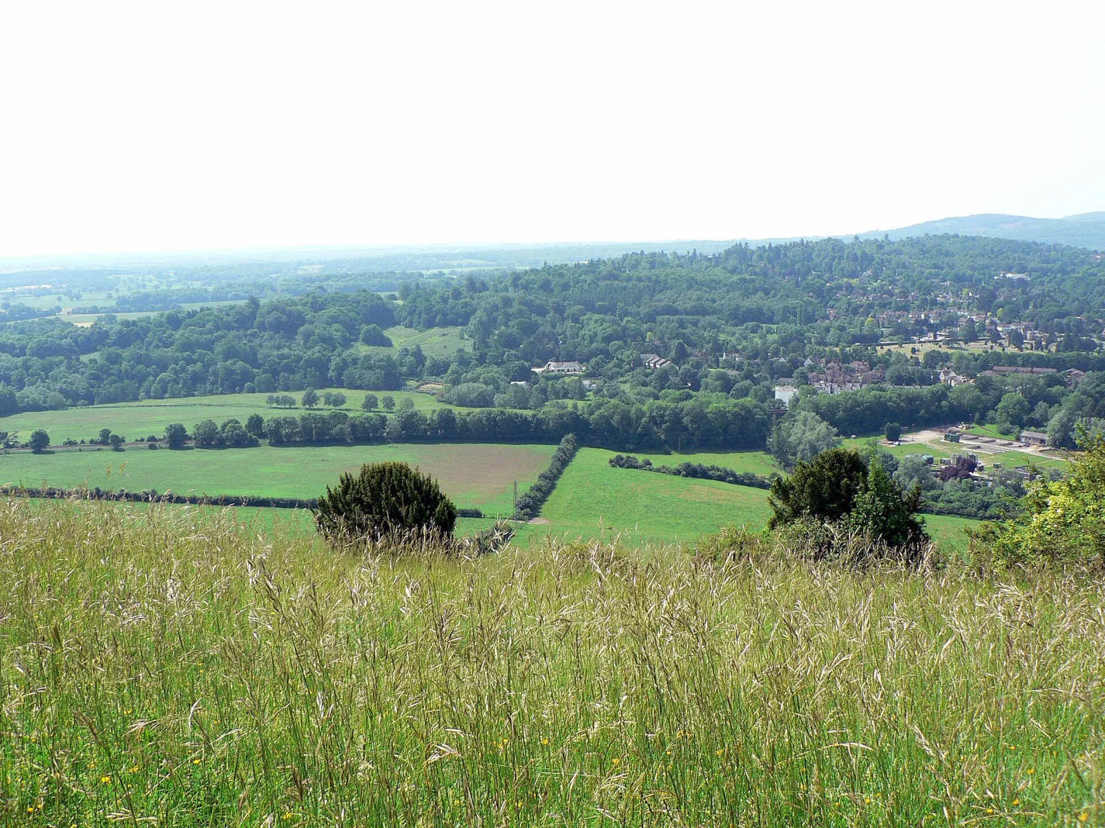 Surrey